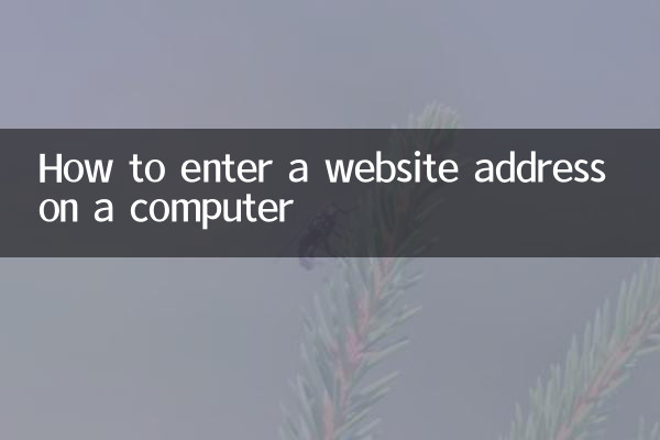 怎么在电脑上输入网址