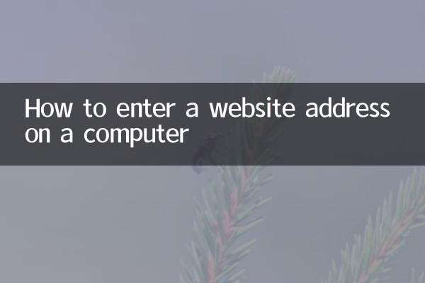 怎么在电脑上输入网址