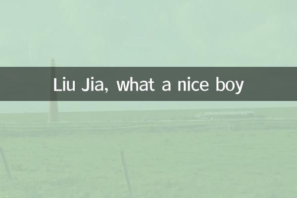 刘佳什么好听男孩