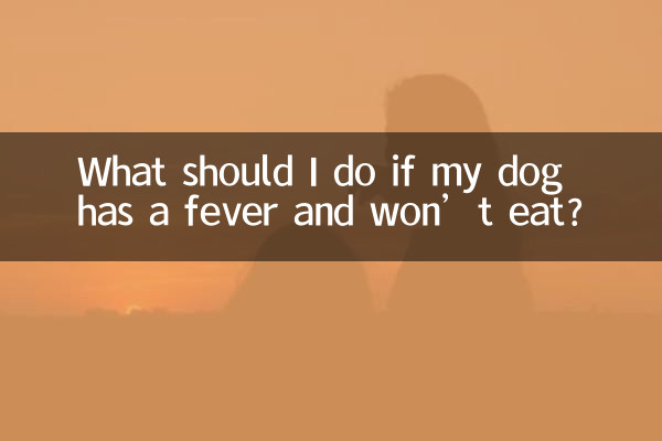 狗發燒不吃東西怎麼辦