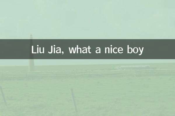 लियू जिया, कितना अच्छा लड़का है