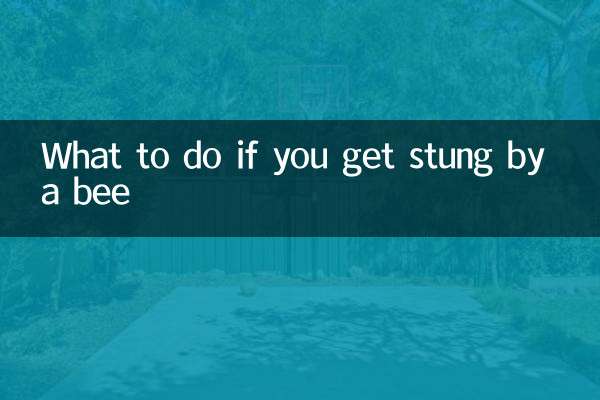 給蜜蜂叮了怎麼辦