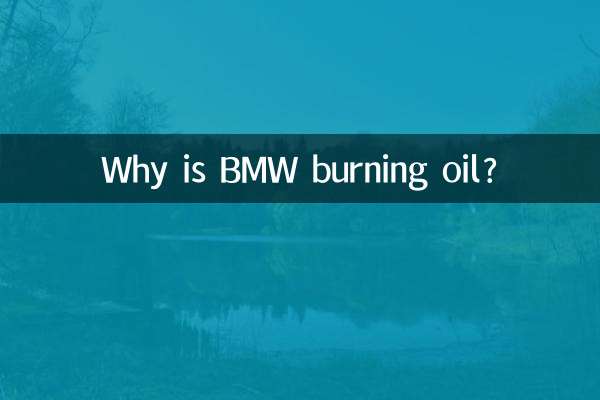 Warum verbrennt BMW Öl?