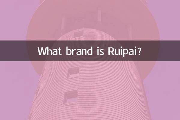 芮牌是什麼品牌