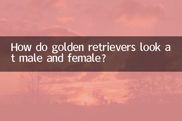 كيف ينظر المستردون الذهبيون إلى الذكور والإناث؟