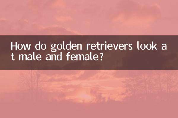 كيف ينظر المستردون الذهبيون إلى الذكور والإناث؟