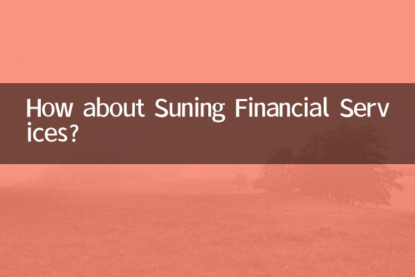 Suning Financial Services는 어떻습니까?