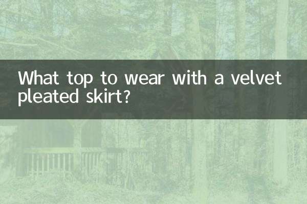 벨벳 플리츠 스커트에 어떤 상의를 입을까요?