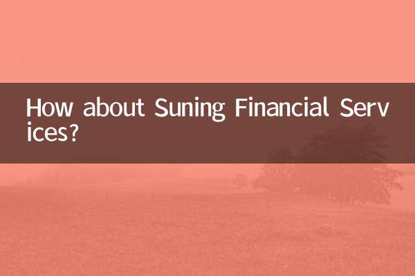 Suning Financial Services는 어떻습니까?