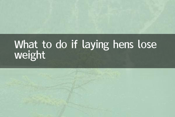 What to do if laying hens lose weight