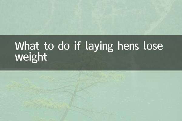 What to do if laying hens lose weight