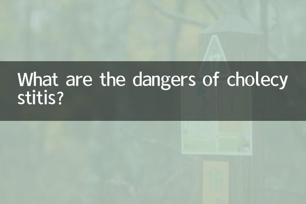 담낭염의 위험은 무엇입니까?