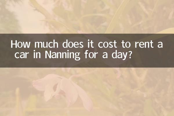 난닝에서 하루 동안 렌터카를 빌리는 데 드는 비용은 얼마입니까?
