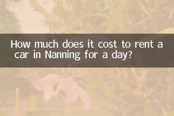 난닝에서 하루 동안 렌터카를 빌리는 데 드는 비용은 얼마입니까?