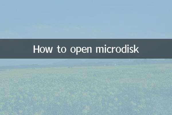 Cómo abrir un microdisco