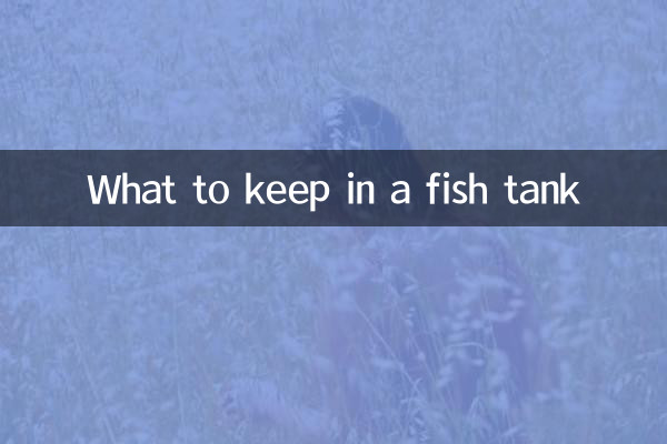 फिश टैंक में क्या रखें