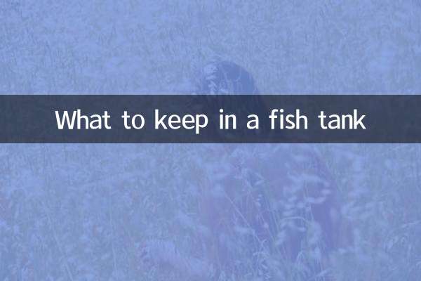 फिश टैंक में क्या रखें