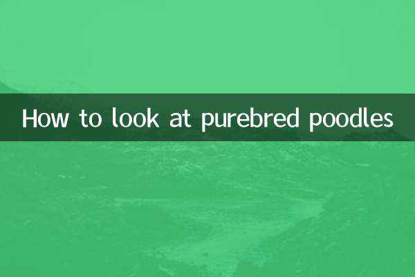 খাঁটি জাতের পুডলগুলি কীভাবে দেখবেন