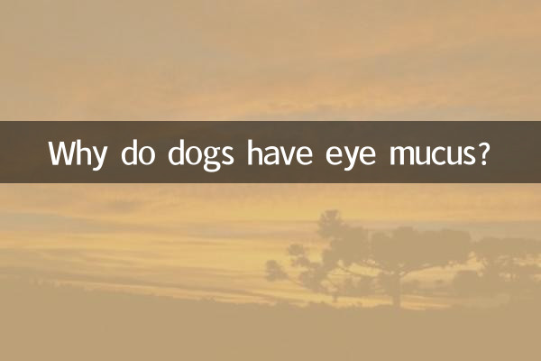Почему у собак появляется слизь из глаз?