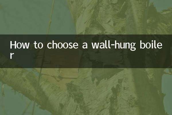 So wählen Sie einen Wandkessel aus