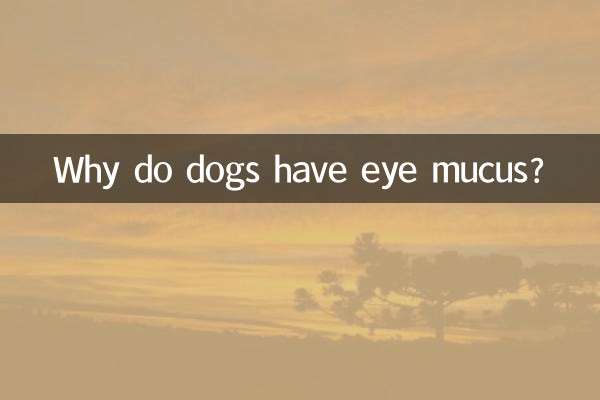 Почему у собак появляется слизь из глаз?