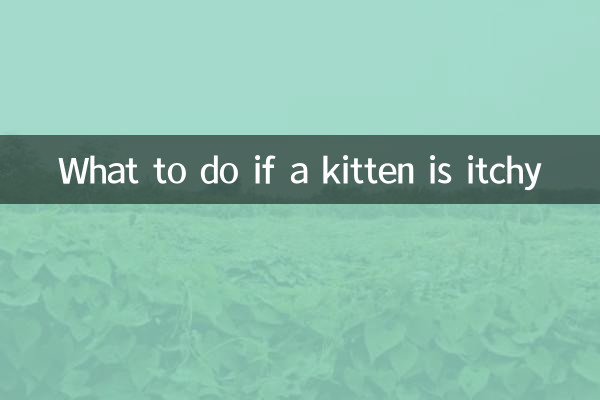 Qué hacer si a un gatito le pica