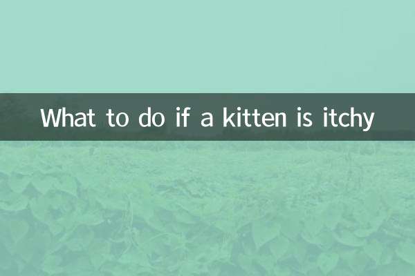 একটি বিড়ালছানা চুলকানি হলে কি করবেন