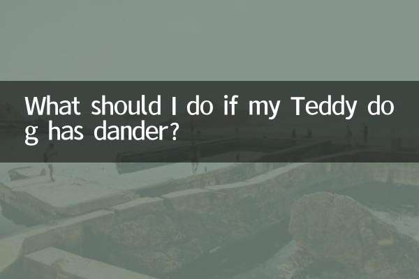 What should I do if my Teddy dog has dander?