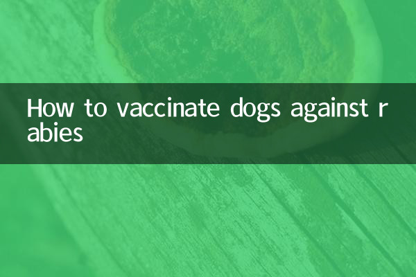 犬に狂犬病の予防接種をする方法