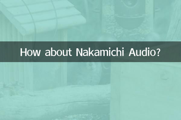 Che ne dici di Nakamichi Audio?