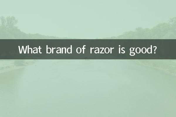 Quale marca di rasoio è buona?