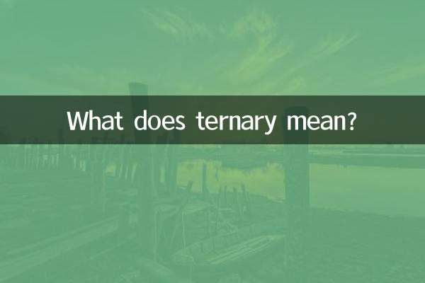 টারনারি মানে কি?