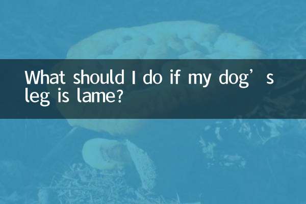 犬の足が不自由な場合はどうすればよいですか?