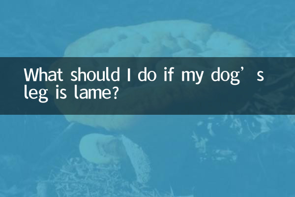 犬の足が不自由な場合はどうすればよいですか?
