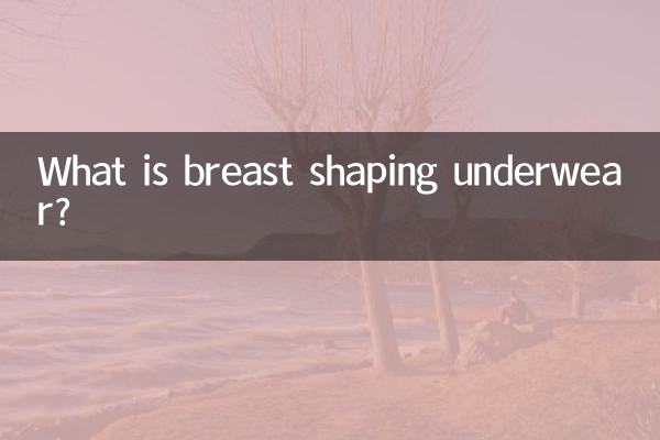لباس زیر فرم دهنده سینه چیست؟