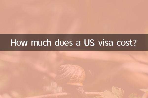 امریکی ویزا کی قیمت کتنی ہے؟
