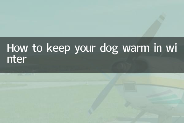 冬天怎么给狗狗保暖