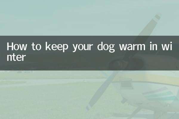 Come tenere al caldo il tuo cane in inverno