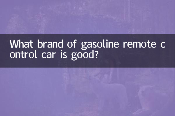 কোন ব্র্যান্ডের পেট্রল রিমোট কন্ট্রোল গাড়ি ভালো?