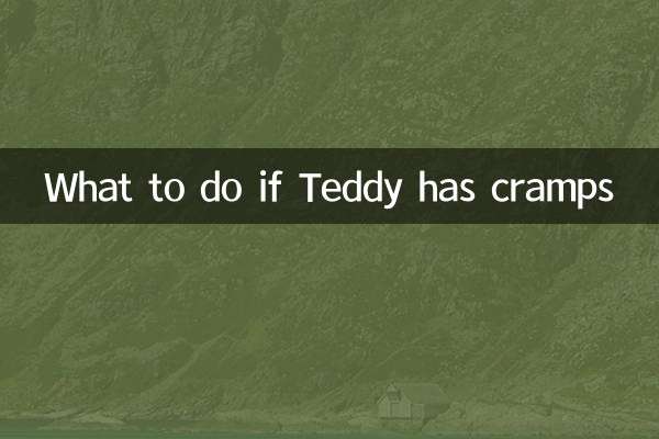 Was tun, wenn Teddy Krämpfe hat?