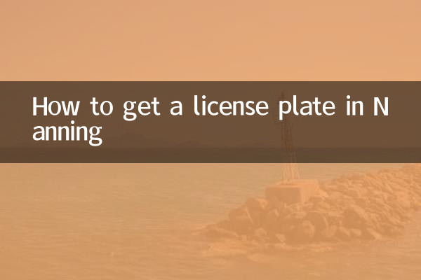 난닝에서 번호판을 받는 방법