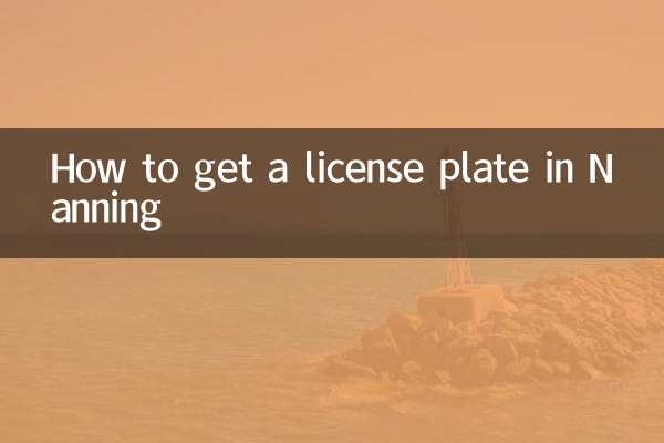 ناننگ میں لائسنس پلیٹ کیسے حاصل کریں