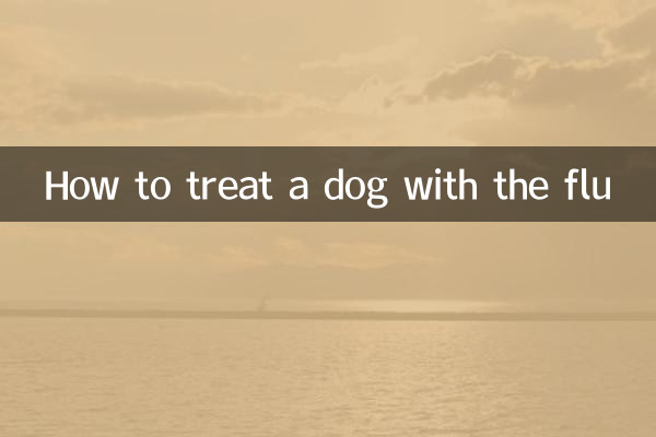 독감에 걸린 개를 치료하는 방법