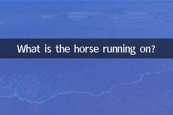 Em que o cavalo está correndo?