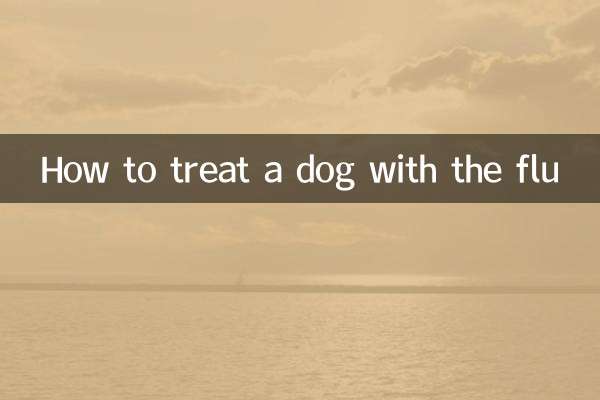 독감에 걸린 개를 치료하는 방법