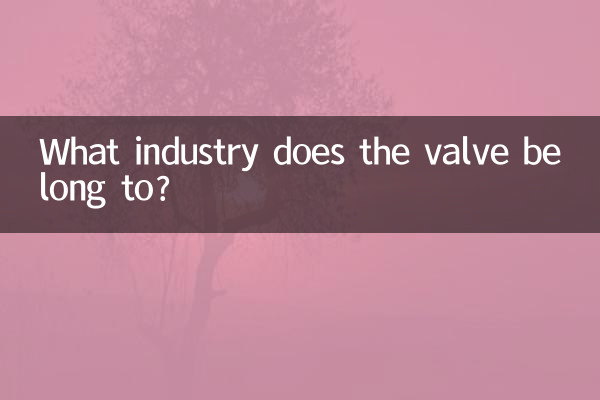 Zu welcher Branche gehört das Ventil?