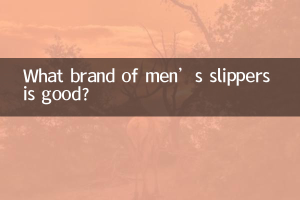 What brand of men’s slippers is good?