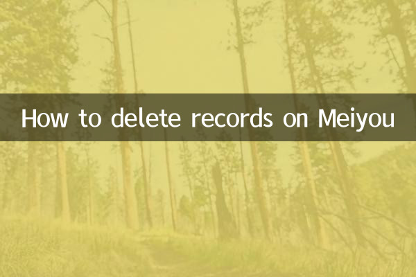 Meiyouのレコードを削除する方法