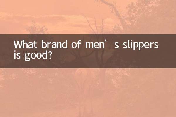 What brand of men’s slippers is good?