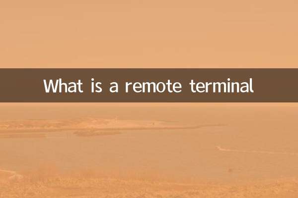 What is a remote terminal